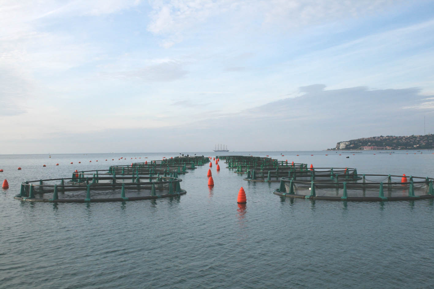A modern seawater fish farm off the coast of Slovenia.