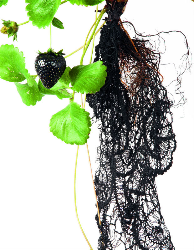 Black Strawberry Lace by Carole Collet, photography by Christoffer Rudquist. © Messe Frankfurt Exhibition