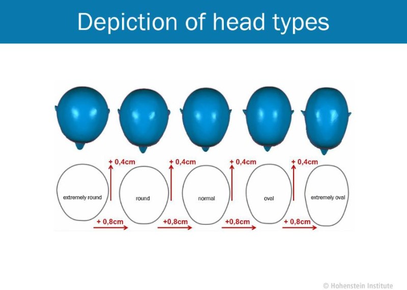The five head shapes that were identified are shown in this illustration: the difference between each head shape and the next is 0.8 cm for the width of the head and 0.4 cm for the length of the head. © Hohenstein Institute