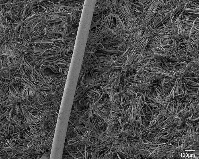 A hair on Evolon surface. Evolon microfilaments are up to 100 times thinner than a human hair, which provides its outstanding characteristics. © Freudenberg Performance Materials