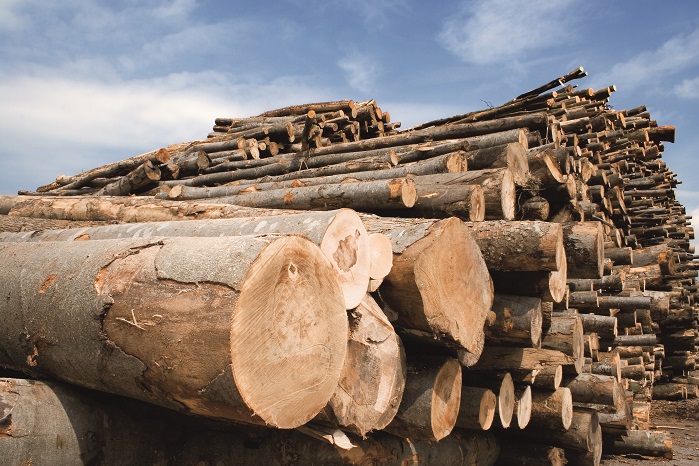 The demand is high for wood-based cellulose fibres. © Lenzing AG