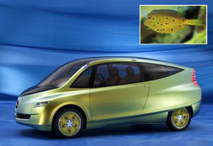 Fishcar bionic car