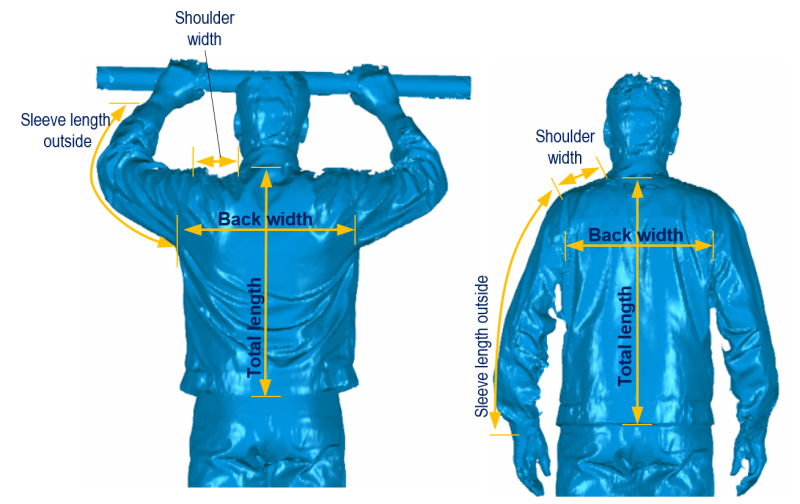 Movement changes the physical dimensions. During overhead work, the back width, back length and arm length, for example, are increased whereas the shoulder width is reduced. © Hohenstein Group 