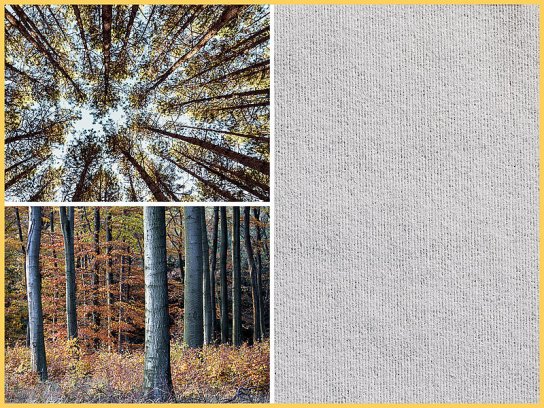 Truetzschler/Voith’s carded/pulp (CP) technology combines a cost-effective, wet-laid pulp layer and a carded web layer from cellulosic fibres. © Truetzschler Nonwovens