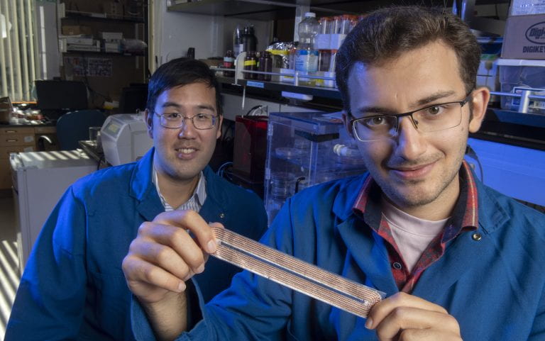 Assistant professor of electrical engineering and computer science Peter Tseng and doctoral student Amir Hossein with the new smart fabrics. Haji Aghajani Memar © Steve Zylius/UCI