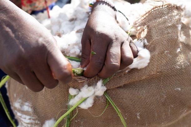 Strong year for Cotton made in Africa