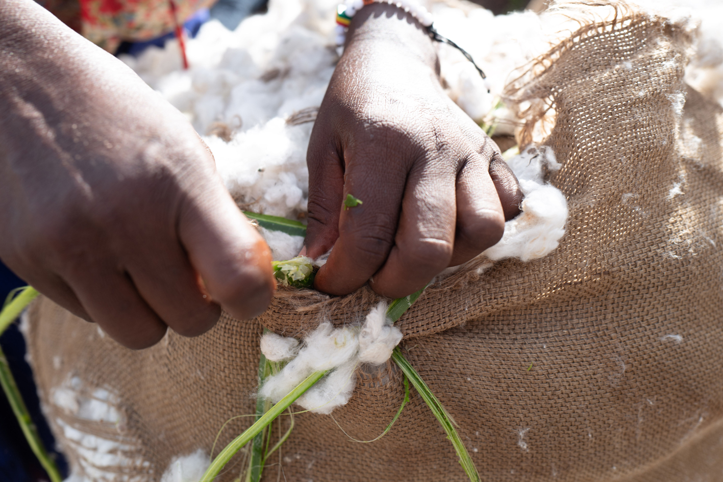 Strong year for Cotton made in Africa