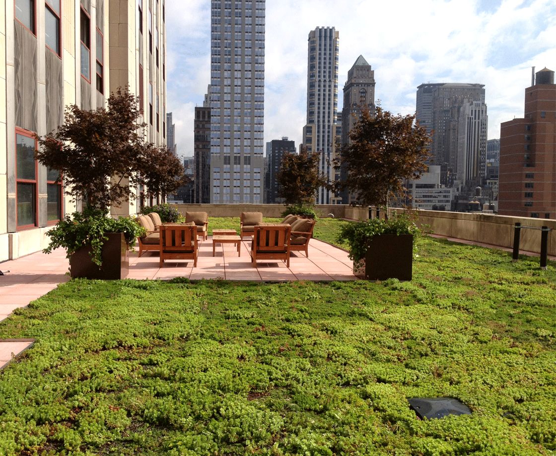 Green roof on the 21st Floor of the Empire State Building © XeroFlor