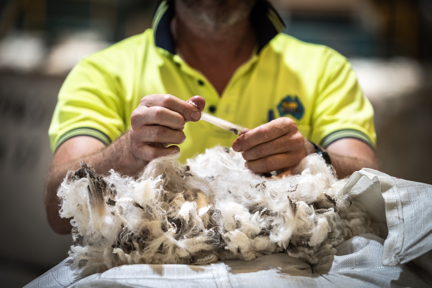 Job Vacancies Grow your career in international wool textiles