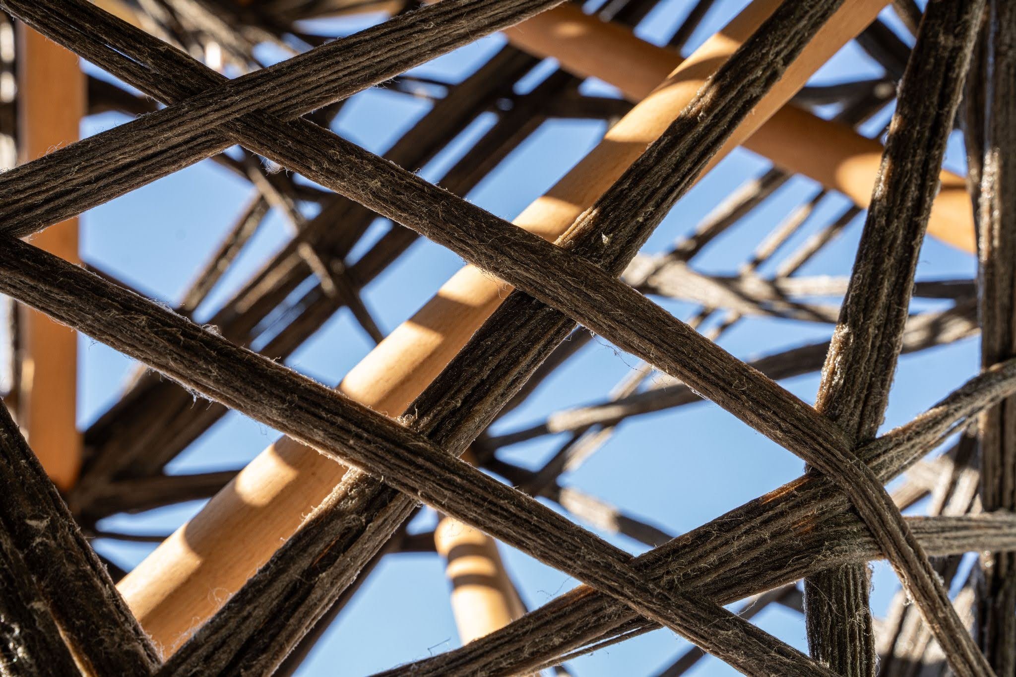 Detail of the ITECH Research Pavilion’s structure. © University of Stuttgart