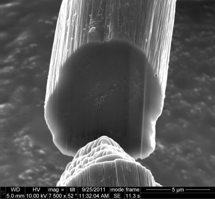 Nanotubes are tightly packed in the new carbon nanotube fibers produced by Rice University and Teijin Aramid. This cross section of a test fiber, which was taken with a scanning electron microscope, shows only a few open gaps inside the fiber. Image:CREDIT: D. Tsentalovich/Rice University