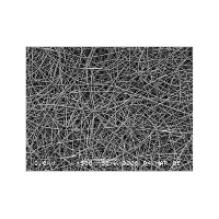 Electrospun fibres