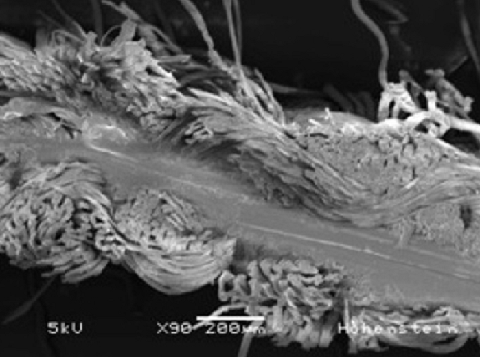 Cross-section of a laser-welded joint between two woven fabrics © Hohenstein Institute