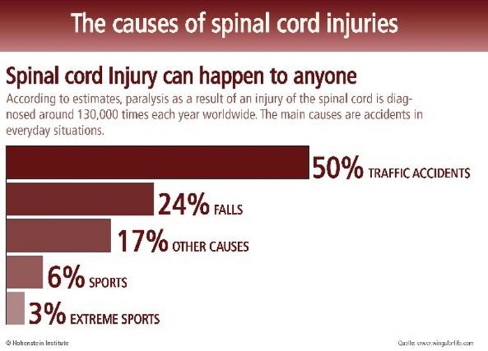 The causes of spinal cord injuries. © Hohenstein Institute