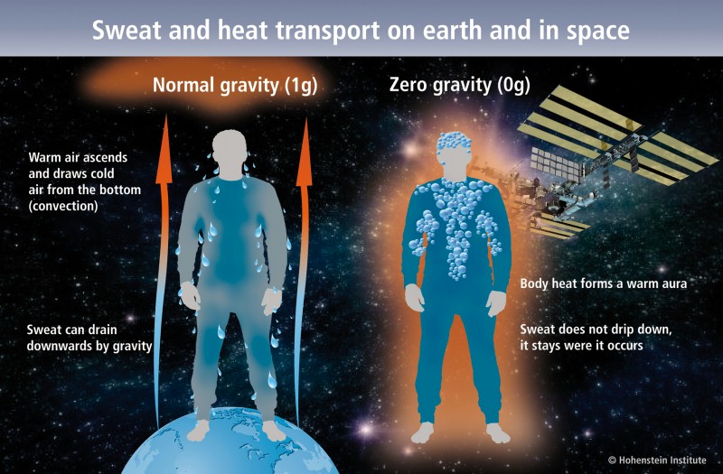 Transport of sweat and heat when on Earth and in space. © Hohenstein