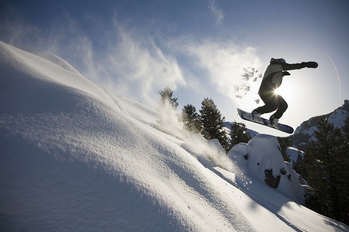 Snowbird 6