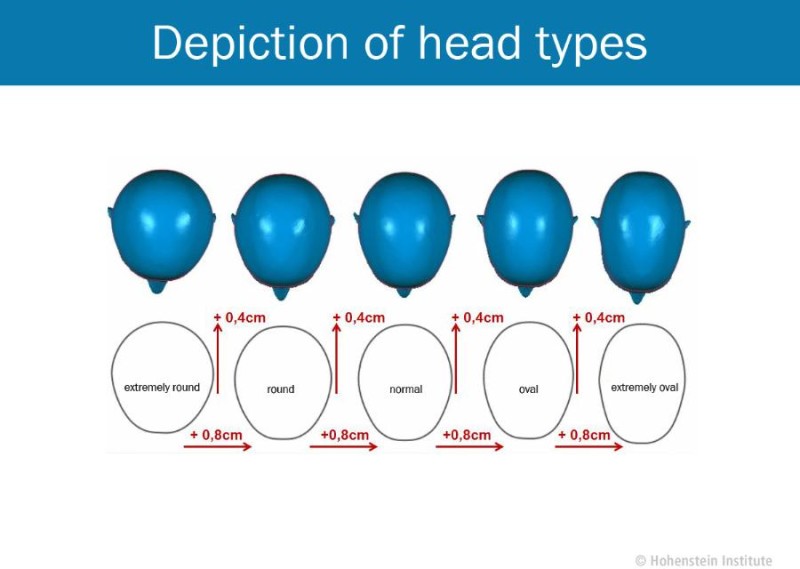 The five head shapes that were identified are shown in this illustration: the difference between each head shape and the next is 0.8 cm for the width of the head and 0.4 cm for the length of the head. © Hohenstein Institute