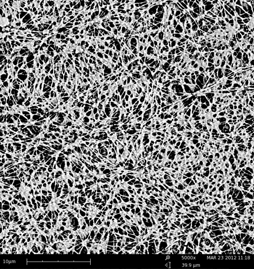 eVent membrane 5000x magnification. © eVent fabrics