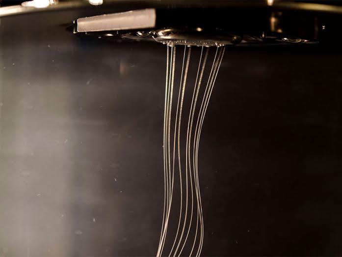 At Bolt Threads, researchers are developing new technology to replicate the amazing spider silk production process sustainably on a very large scale. © Bolt Threads