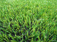 GreenFields delivers fully recyclable artificial grass system