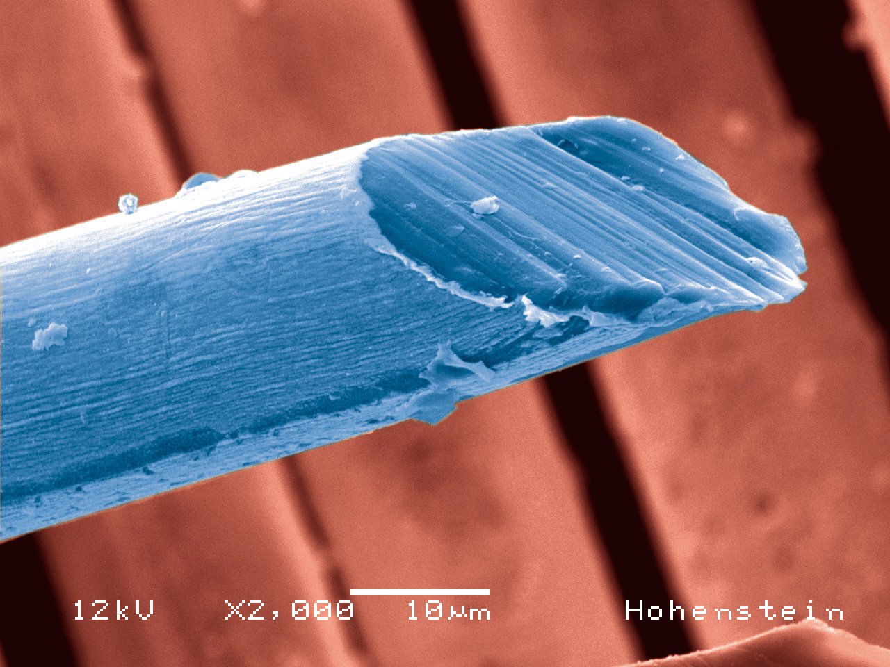 REM image of a textile fibre to which silver nano-particles have been applied to increase its UV protection factor.