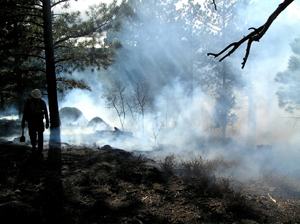 Researchers hope to improve suits for wildland fire fighters