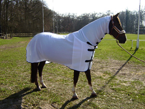 The finished blanket protects the horse by means of a material which is resistant to puncturing and the repellent. Picture: Hohenstein Mosquito
