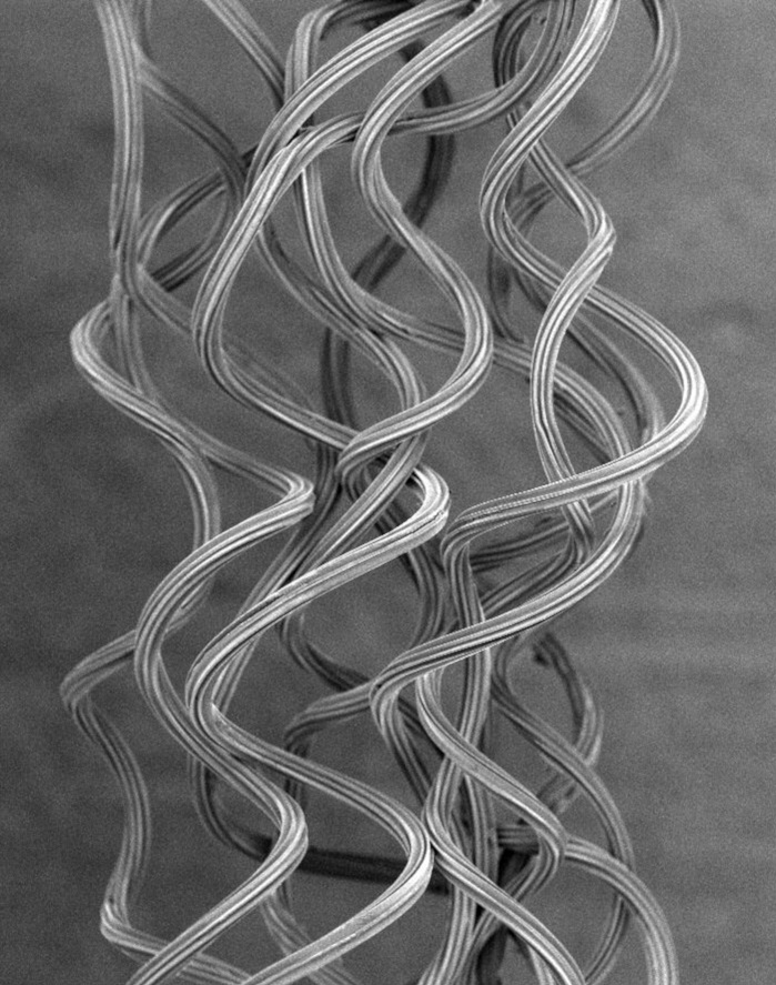Solotex Octa filament. © Teijin 